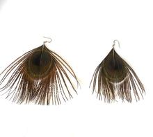 Peacock Feather Earrings