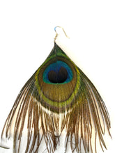 Peacock Feather Earrings