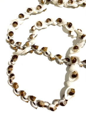 Long Seashell Necklace