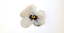 French Hand Painted Glass Pansies brooches (set of 3)