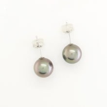 18ct White Gold Black Tahitian Pearl Stud Earrings