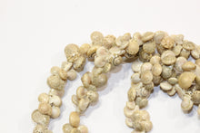 Natural Shell Necklace