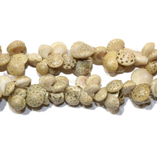 Natural Shell Necklace