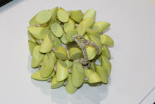 Green Wood Necklace