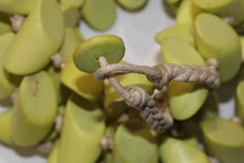 Green Wood Necklace