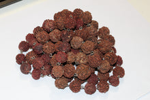 Tibetan Prayer Beads