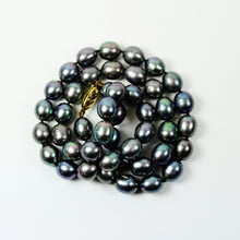 Black Peacock Tahitian 5mm Pearl Beaded Necklace