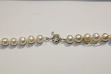 Cultured Pearl Necklace