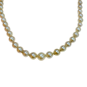 Cultured Pearl   Necklace with a Diamante Silver Clasp