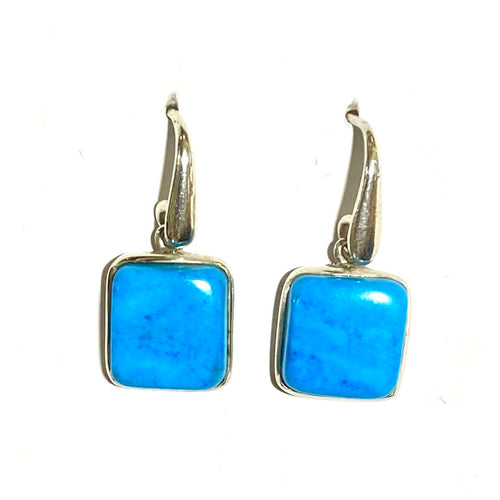 Magnesite Sterling Silver Earrings