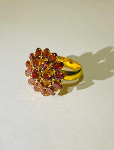 Garnet Sterling Silver Yellow Gold Plate Ring