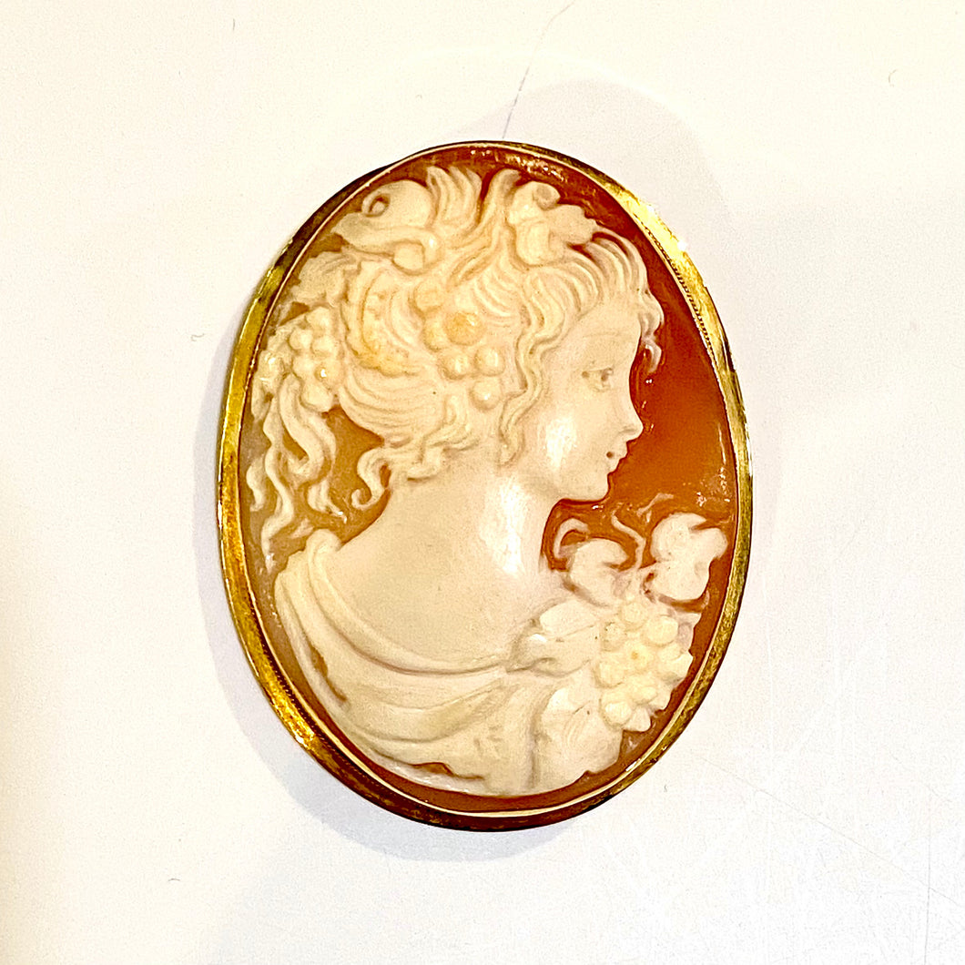 Antique 18ct Yellow Gold Conch Shell Cameo Brooch