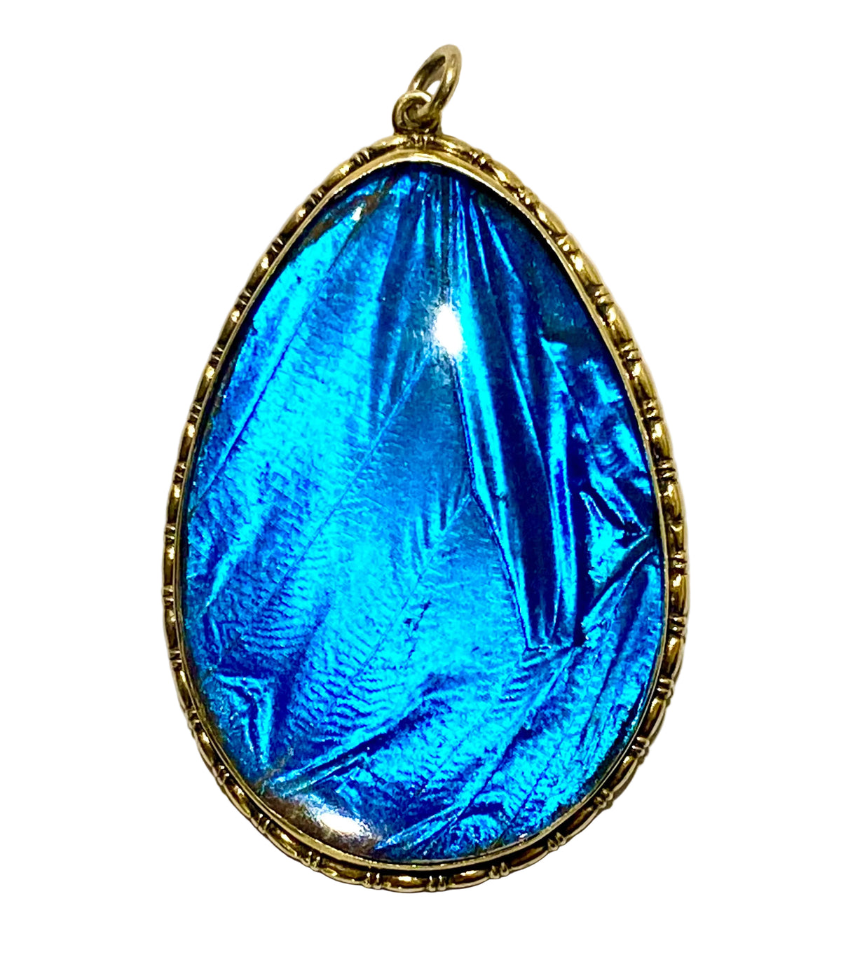 Antique Sterling Silver Gold Plate Kingfisher Wing Pendant