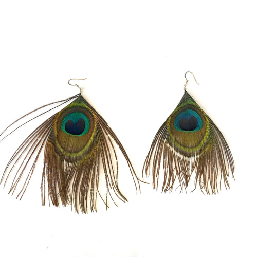 Peacock Feather Earrings