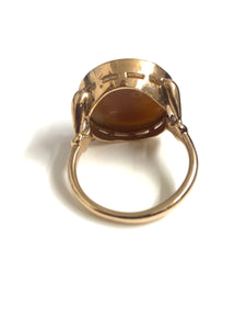 9ct Gold Conch Shell Cameo Dress Ring