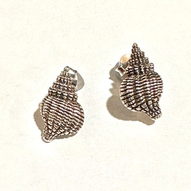 Delightful Sterling Silver Conch Shell Stud Earrings