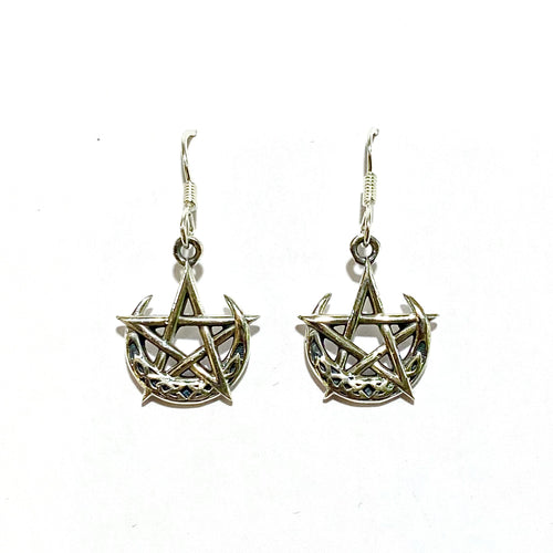 Sterling Silver Star and Moon Hook Drop Earrings