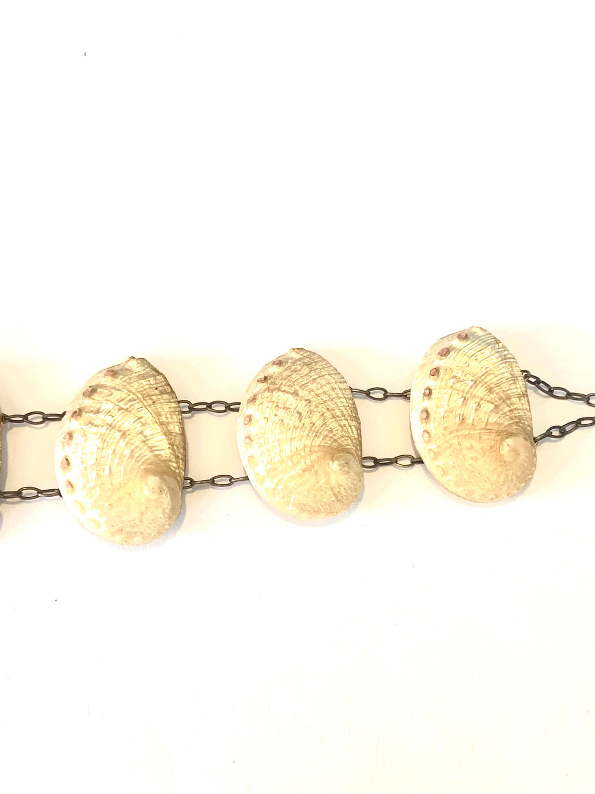 Abalone Shell Bracelet