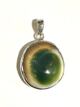 Operculum Cat's Eye Sterling Silver Pendant