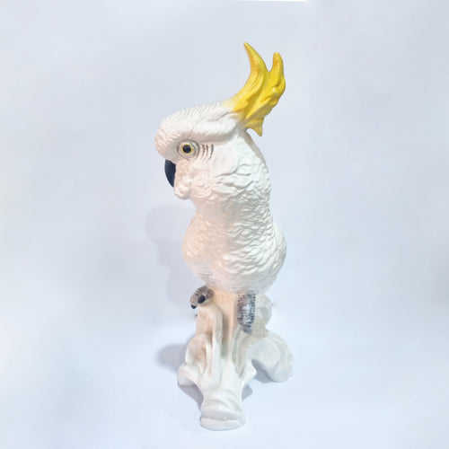 Antique Staffordshire Cockatoo Bone China Figurine