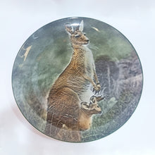 Vintage Royal Doulton Kangaroo and Joey Wall Plate