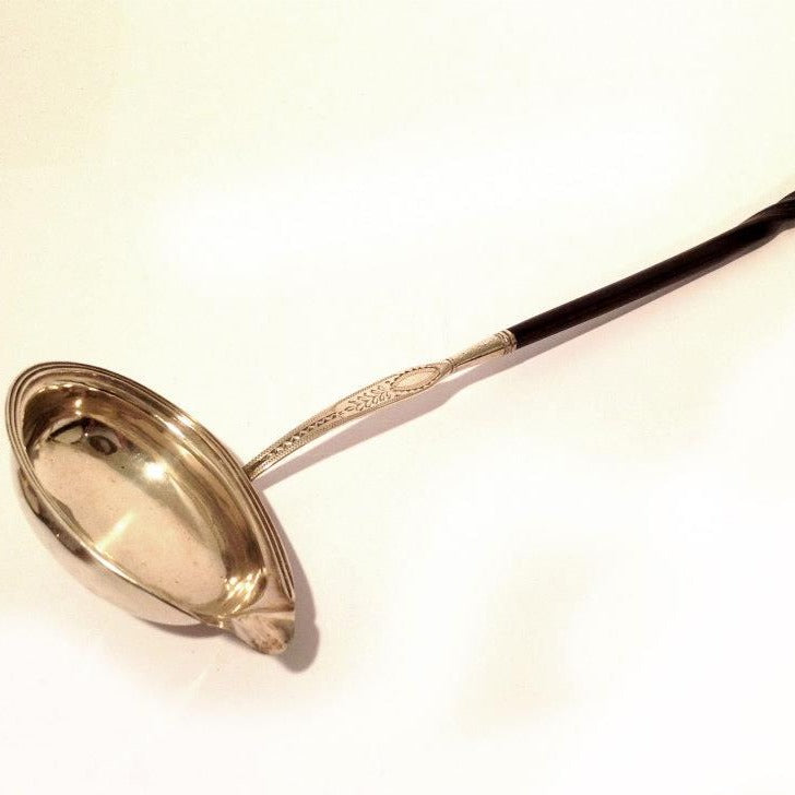 Silver Serving Spoon with Horn Handle