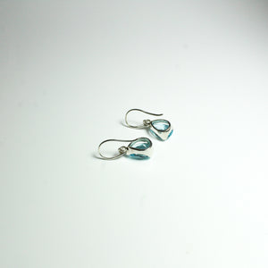Sterling Silver 3.83ct Blue Topaz Hook Drop Earrings