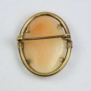 Claw Set Conch Shell Cameo Brooch
