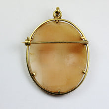 Conch Shell Claw Set Cameo Brooch and Pendant