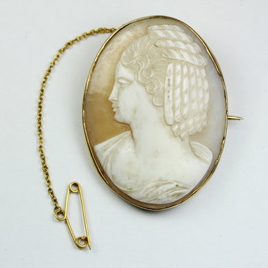 Conch Shel Bezel Set Cameo Brooch with Safety Pin