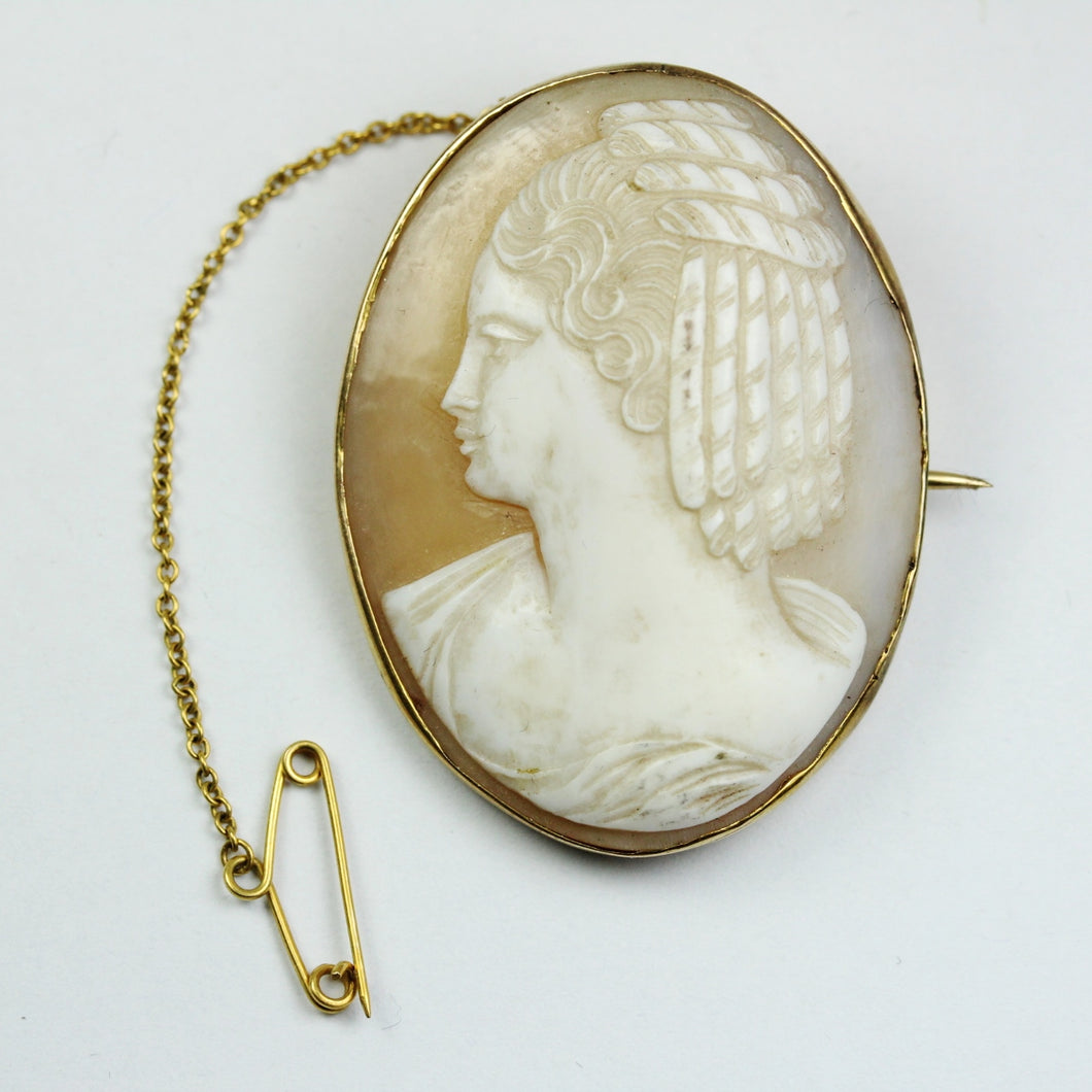 Conch Shel Bezel Set Cameo Brooch with Safety Pin