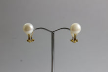 Button Freshwater Pearl Clip On Earrings