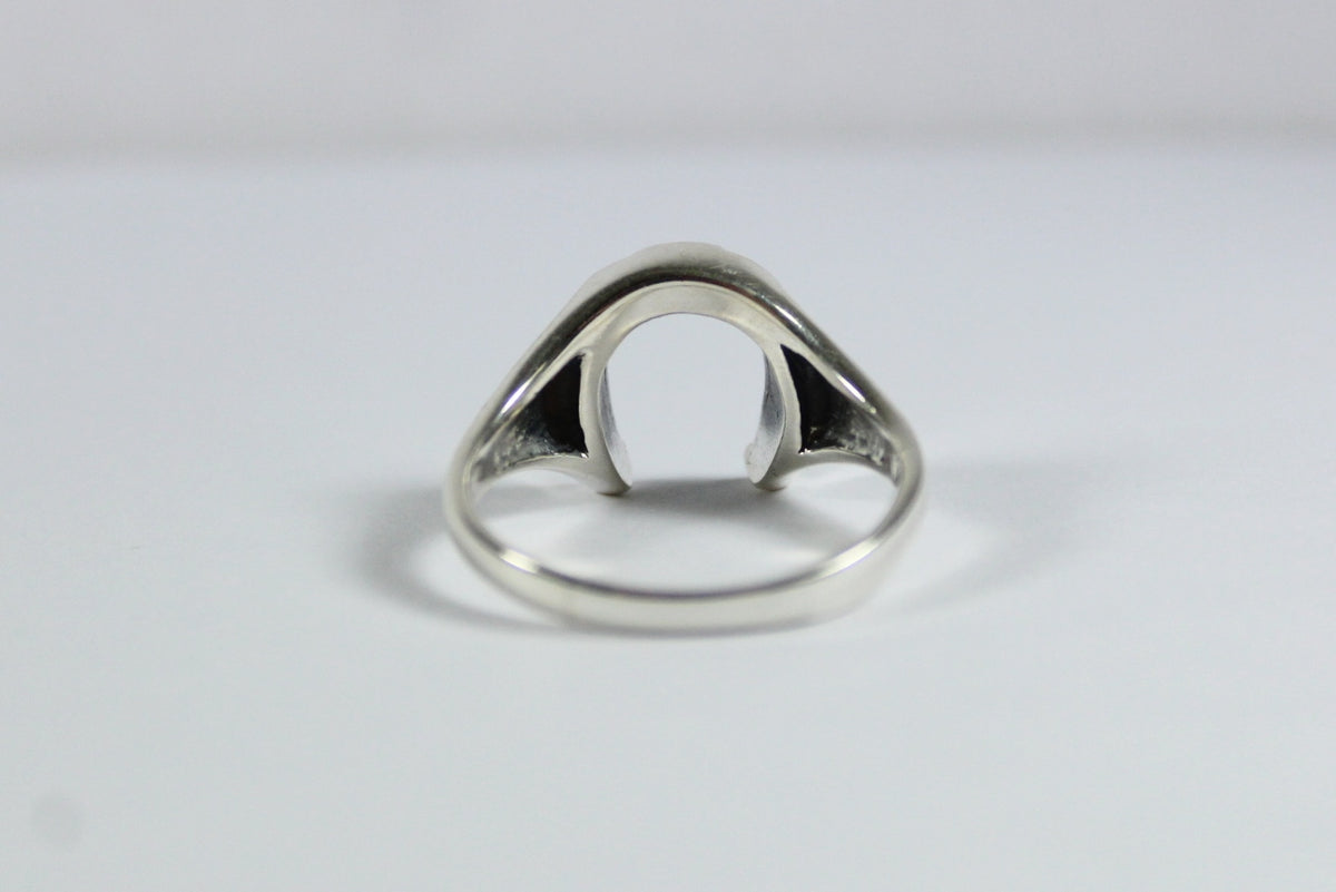 Sterling Silver Turquoise Horseshoe Ring