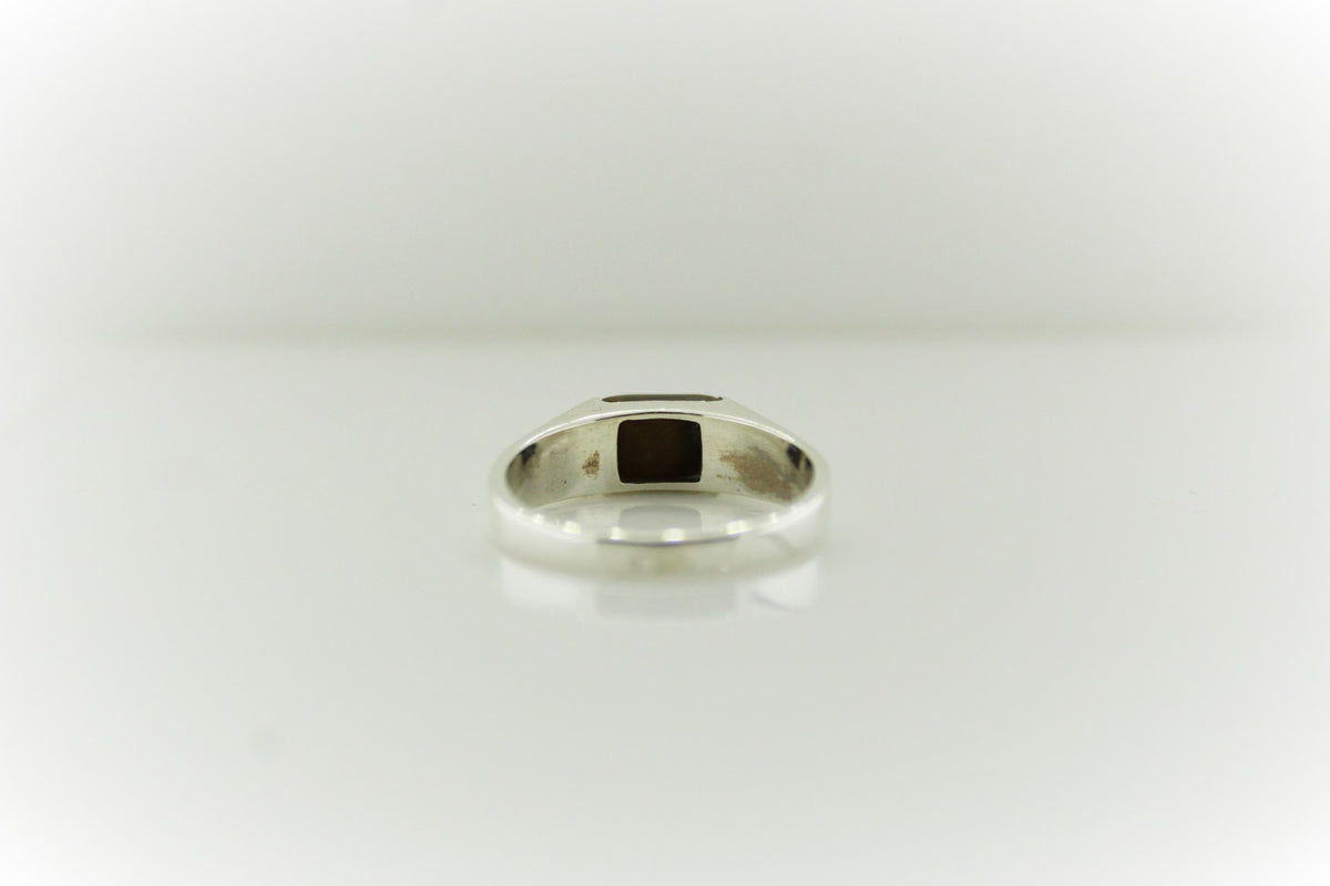 Sterling Silver Thin Gemstone Mens Ring