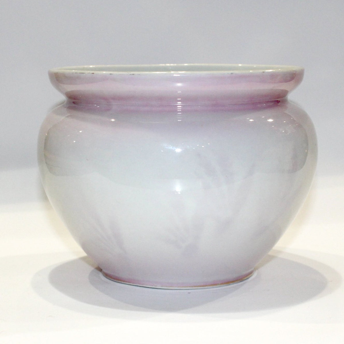Vintage Bavarian Pink Budgerigar Porcelain Bowl