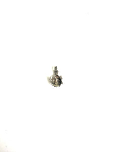 Sterling Silver Lady Bug Charm