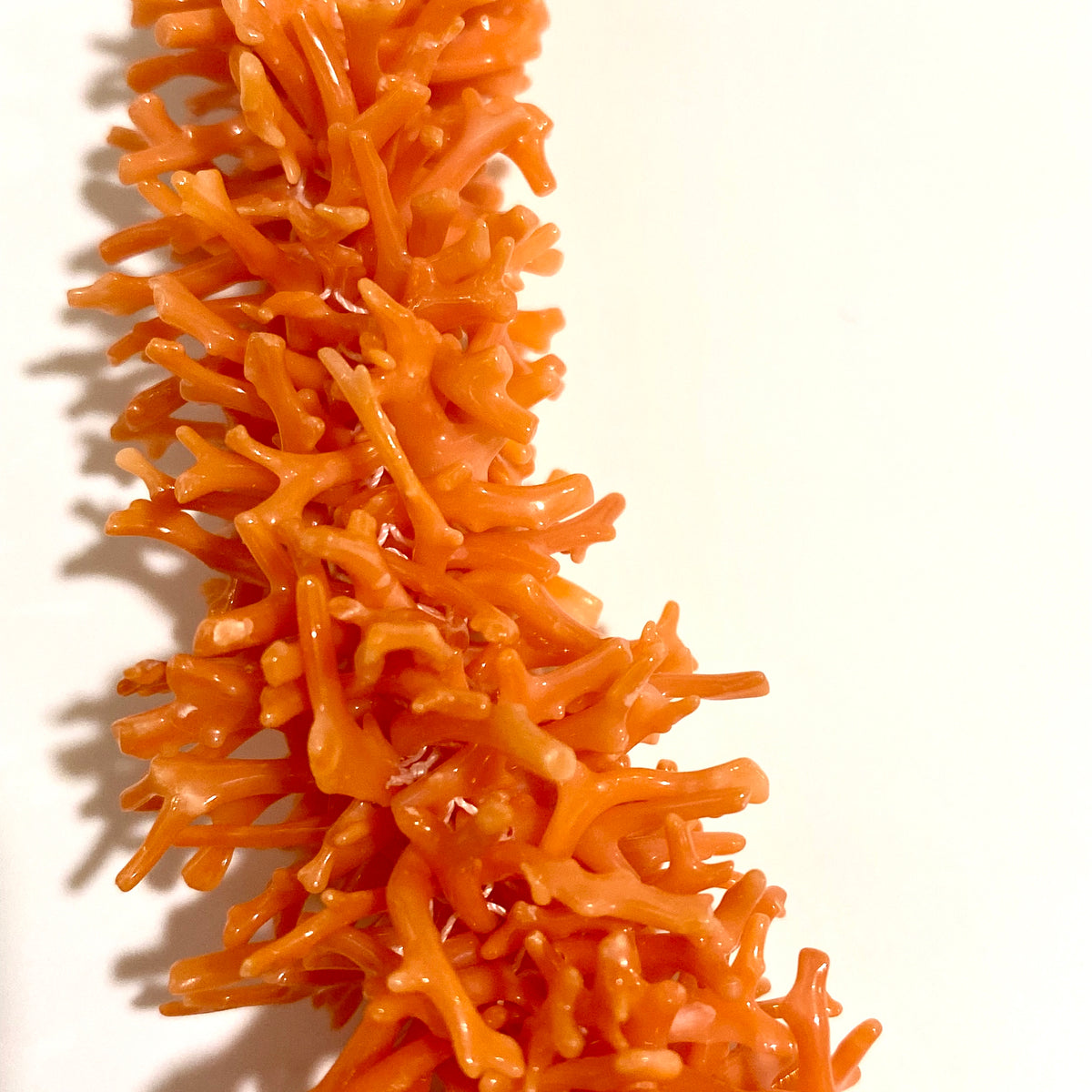 Branch Coral Necklace with 14ct Yellow Gold Clasp