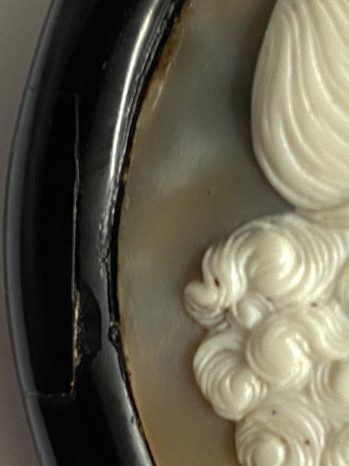 Antique Whitby Jet and Mother of Pearl Conch Shell Cameo Brooch