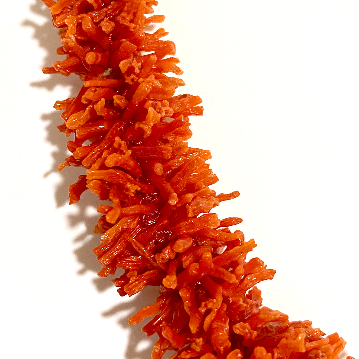 Graduated Branch Coral Necklace with Yellow Gold Clasp