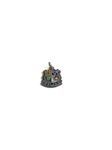 Sterling Silver and Enamel Ireland Crest Charm