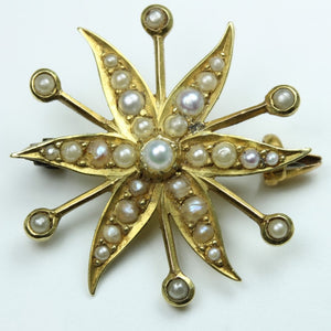 Seed Pearl Star Brooch