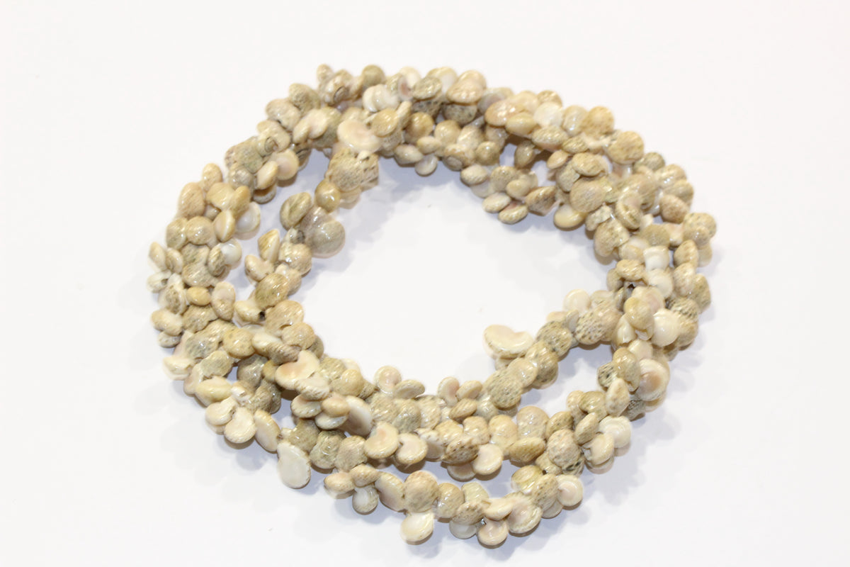Natural Shell Necklace