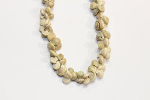 Natural Shell Necklace