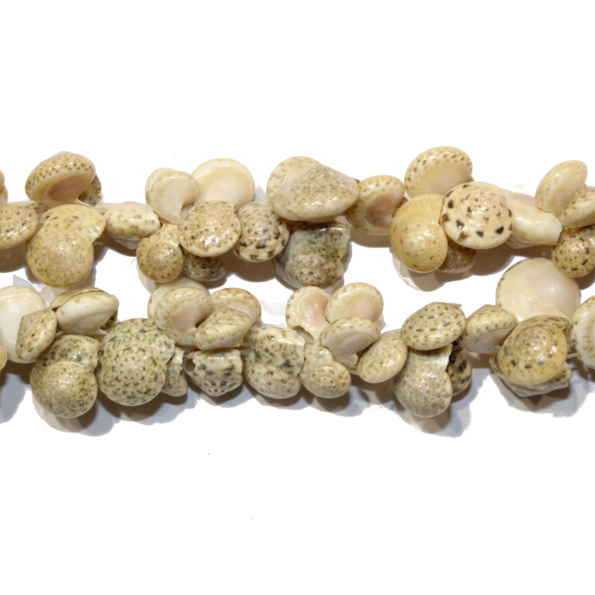 Natural Shell Necklace