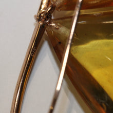 9ct Yellow Gold Honey Baltic Amber Drop Earrings
