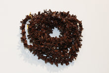 Vintage Apple Seed Necklace