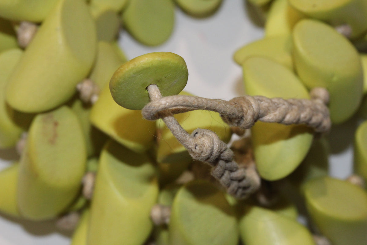 Green Wood Necklace
