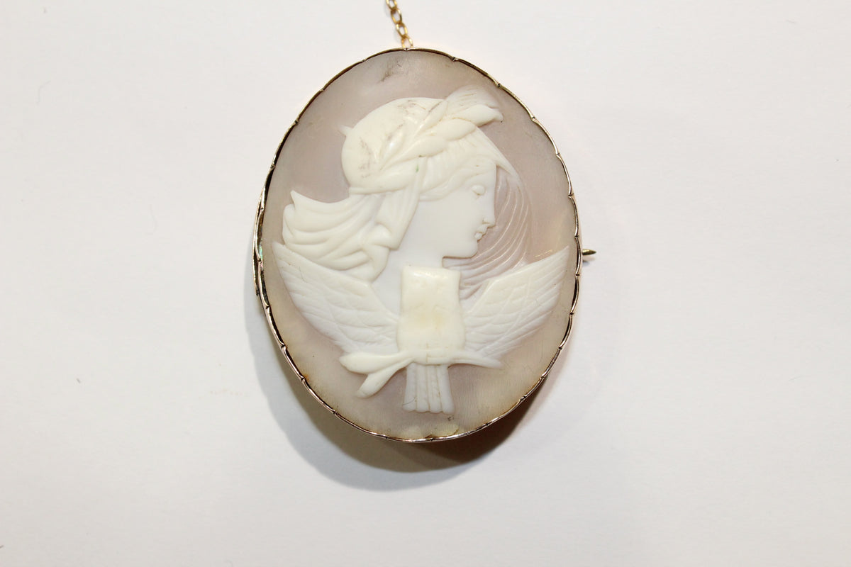 Victorian Conch Shell Cameo Showing an Owl