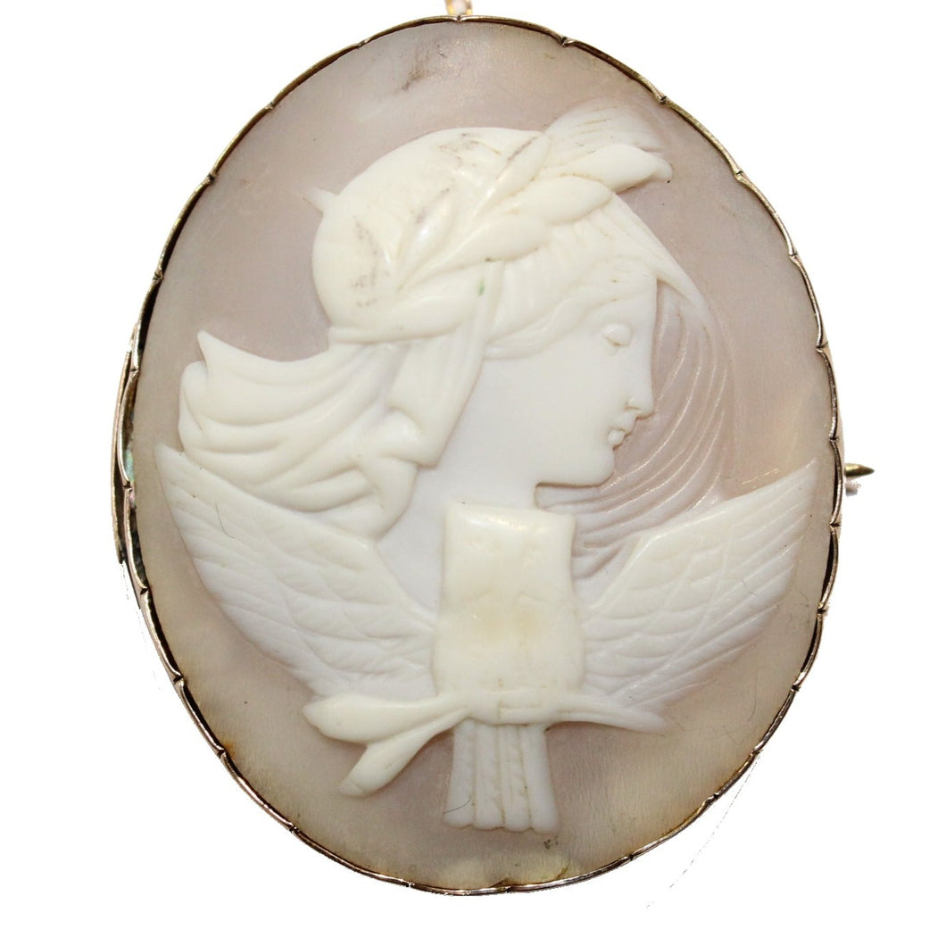 Victorian Conch Shell Cameo Showing an Owl