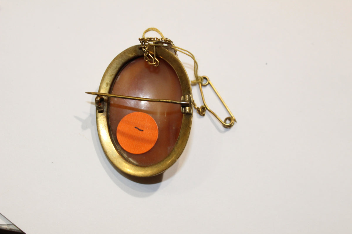 Conch Shell Beatrice Cici Cameo Brooch